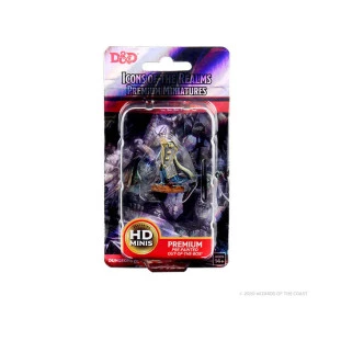 D&D: Icons of the Realms – Elf Male Cleric - Premium Figures